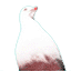 密使