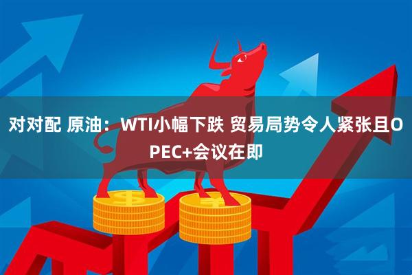 对对配 原油：WTI小幅下跌 贸易局势令人紧张且OPEC+会议在即