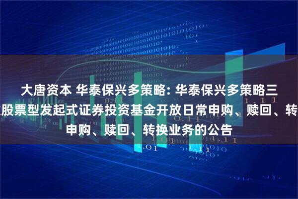 大唐资本 华泰保兴多策略: 华泰保兴多策略三个月定期开放股票型发起式证券投资基金开放日常申购、赎回、转换业务的公告