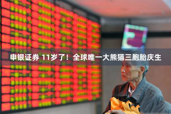 申银证券 11岁了！全球唯一大熊猫三胞胎庆生