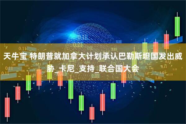 天牛宝 特朗普就加拿大计划承认巴勒斯坦国发出威胁_卡尼_支持_联合国大会