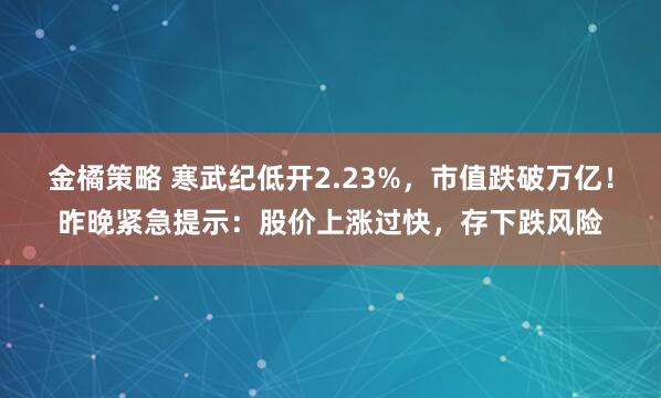 金橘策略 寒武纪低开2.23%,市值跌破万亿!昨晚紧急提示:股价上涨过快,存下跌风险